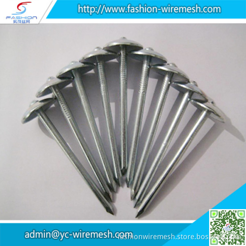 Low carbon steel umbrella head roofing nails with twist smooth ring shank